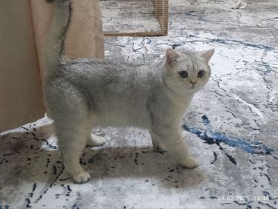 Vyazkaga taklif qilamiz