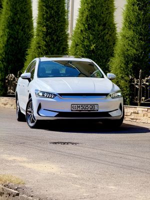 Byd qin plus 2022 yil oq rang