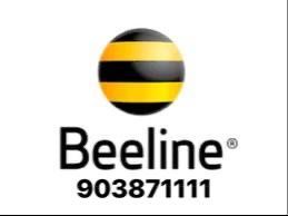 Beeline gold nomer