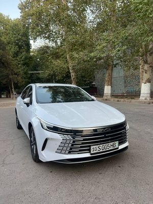 Byd Chazor 55 li 2 позиция