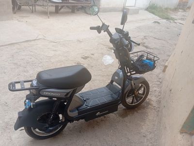 Garantiya 1oy 2025