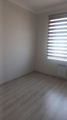 Eko shaharda kvartira ijaraga beriladi