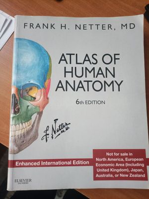 ОРИГИНАЛ! Atlas of human anatomy Netter/ Атлас анатомии человека Нетт