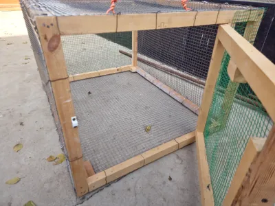 tovuq yoki jojalarga katak (qafas)