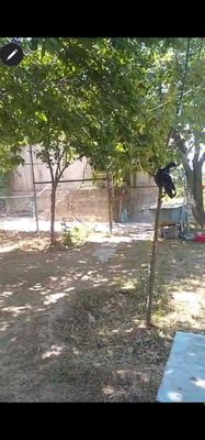 Dacha xovli 12 sotix