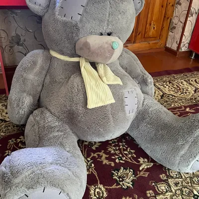 Teddy Juda katta Ayiq