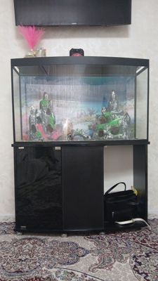 Продаю аквариум 200л