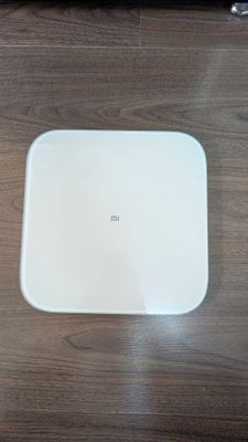 Электронные весы Xiaomi Mi Smart Scale 2 — модель XMTZC04HM