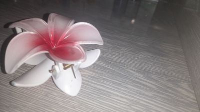 zajim