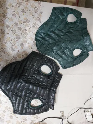 одежда для животных