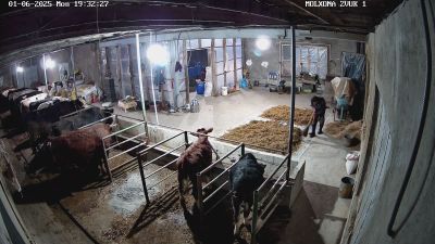 Mollarga qarawga Odam kerak