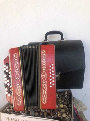Детский аккордеон