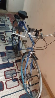 Velik srochna sotiladi