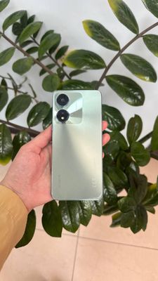 Honor x5 plus