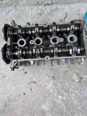 Spark galofka 1 matorli
