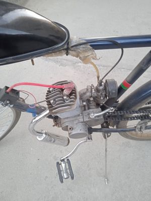 Velo mator yahshi holatga turibdi 1 oy buldi olinganiga