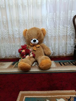 Мишка сотилади холати янги
