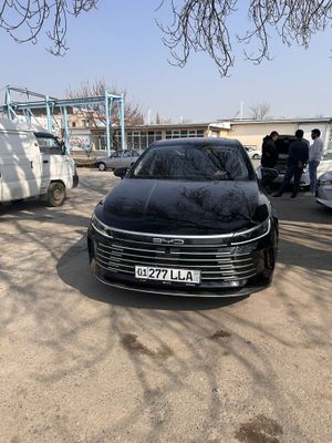 Byd Chazor chempion 55 dmi