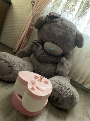 Teddy bear/ мишка тедди