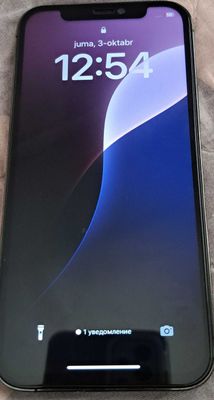 Iphone 12 pro 256 gb
