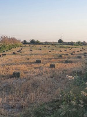 Тарик пресс сотилади