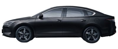 BYD CHAZOR 120 km, 2024г