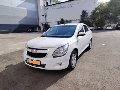 Oq kobalt 2023-yil