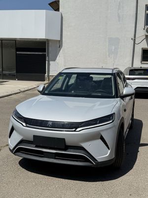 Byd Yuan Up 2025 yil