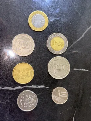 Tanga real somon halalas