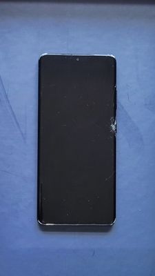 Samsung S21 Ultra ekran (radnoy)