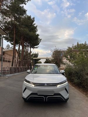 Byd yuan up yili 2024
