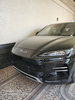 Bivaydi chempion ful pozitsiyasi sotiladi