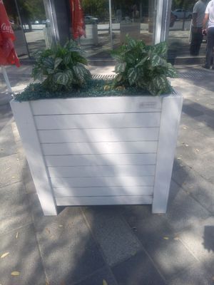 Кулумба гул учун туваклар гули билан