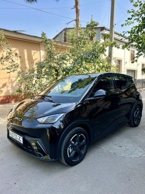 Byd seagull Arendagaym beriladi