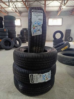 175/70R13Gopromax