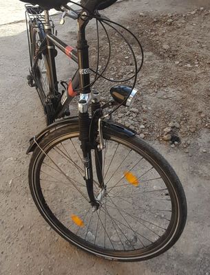 Velosiped nomi gecco