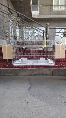 Клетка для попугая