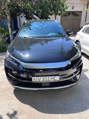 BYD tank Dual mator
