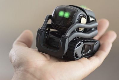 Vector Anki Robot