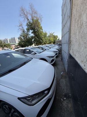 BYD E2 LUX 2024-yil в наличии нотариусга тайёр