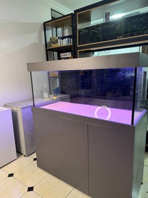 Buyurtma asosida òlchamizga mos akvariumlar yasaymiz