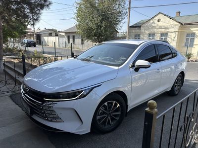 BYD. chazor. 2024