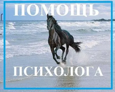 Психолог в Ташкенте. Консультация психолога, лечение, гипноз. Гипнолог