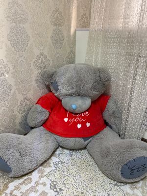 Kotta Teddi