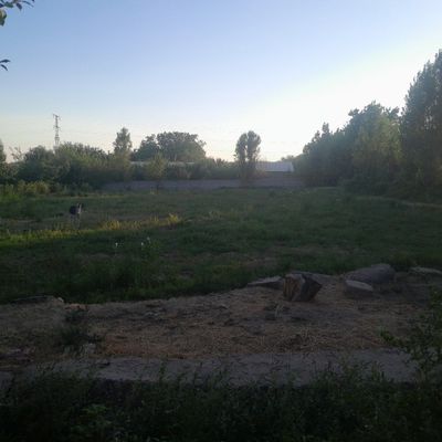 Srochna kotta xovli sotiladi 38 sotix