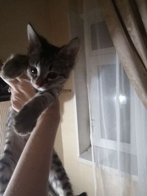 Мальчик в добрые руки