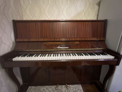 Pianino lastochka sotiladi