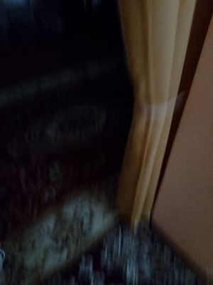 Guliston shahrda uch honali uy ijaraga beriladi