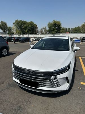 BYD chazor