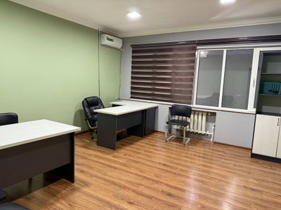 Офис Абай корзинка 22м2